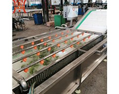  葉菜類(lèi)蔬菜清洗機(jī)操作步驟