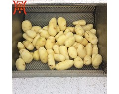 毛刷式土豆去皮機(jī)具體操作方法