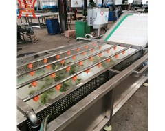甜玉米清洗機(jī)具體操作方法與步驟