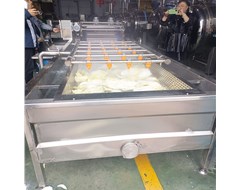 客戶親自來考察白菜清洗風干試機