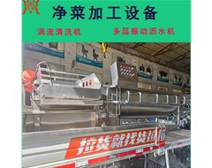 預(yù)制菜加工設(shè)備渦流清洗機震動瀝水機發(fā)貨