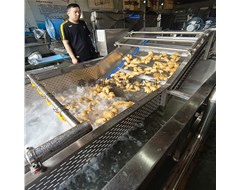 客戶親自帶產(chǎn)品來試機大姜清洗風(fēng)干線