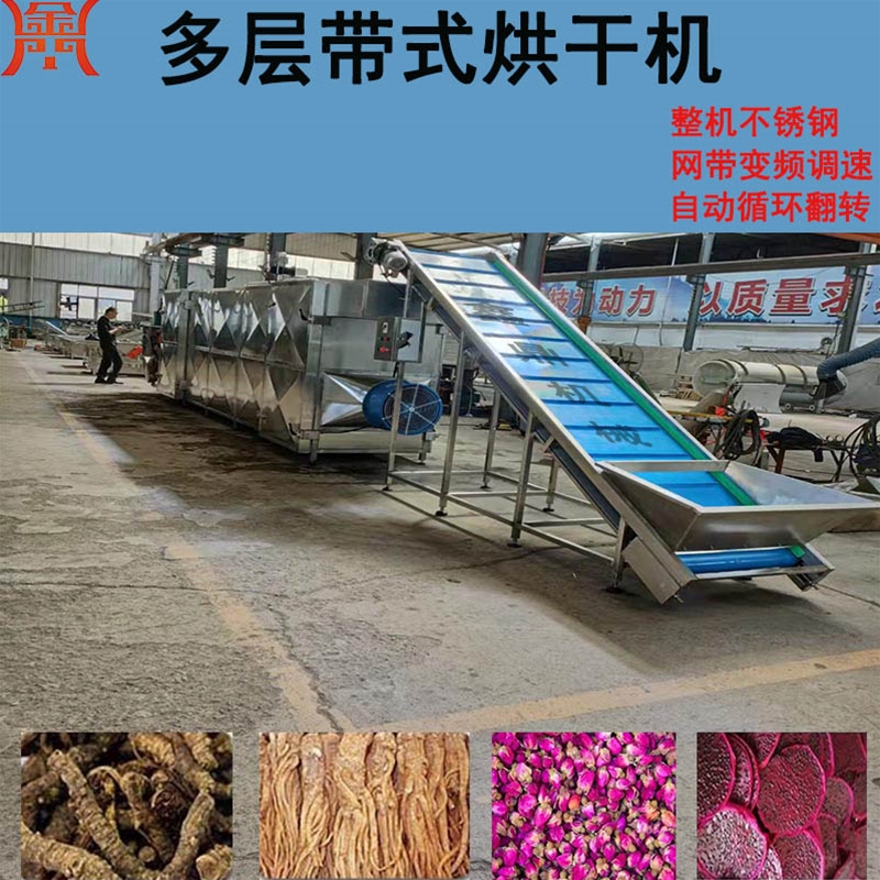 蕨菜帶式干燥設(shè)備 