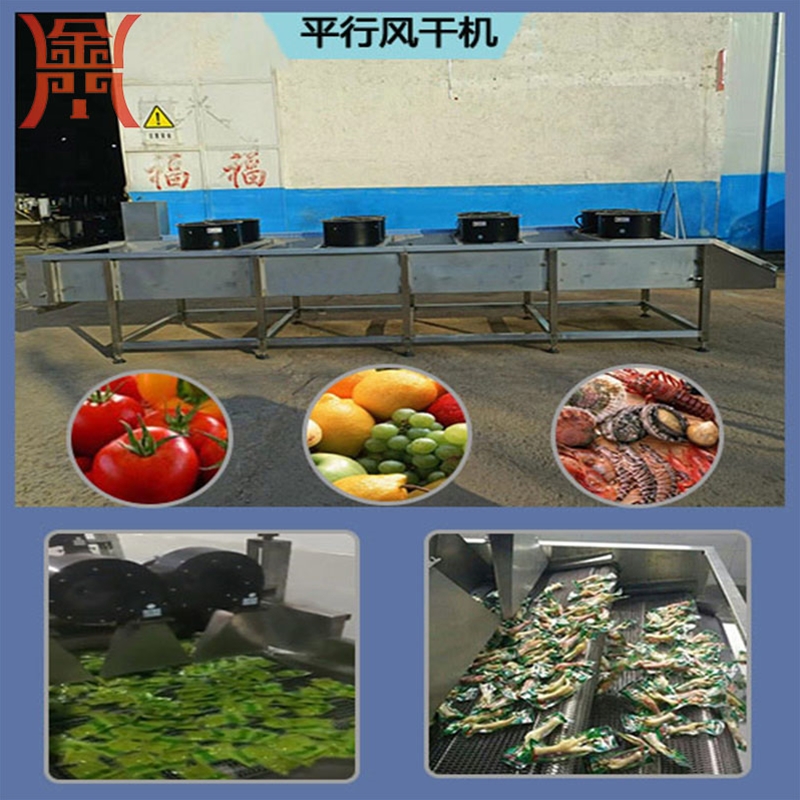翻轉(zhuǎn)式調(diào)料包風(fēng)干機(jī) 全自動(dòng)豆干風(fēng)干機(jī) ，網(wǎng)帶式魔芋豆腐腐竹風(fēng)干機(jī)