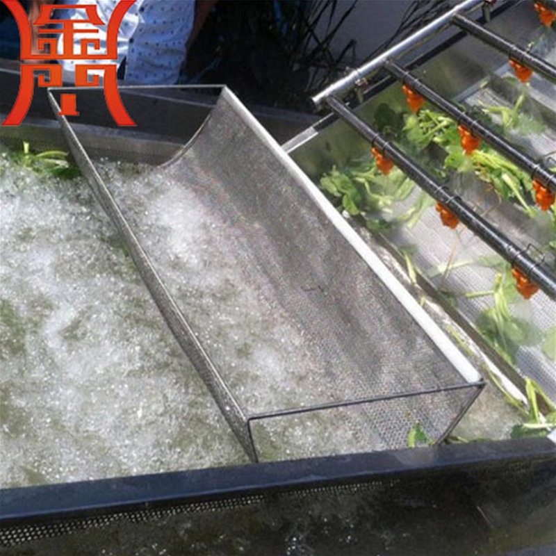 山野菜清洗機