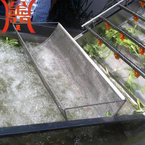 山野菜清洗機(jī)