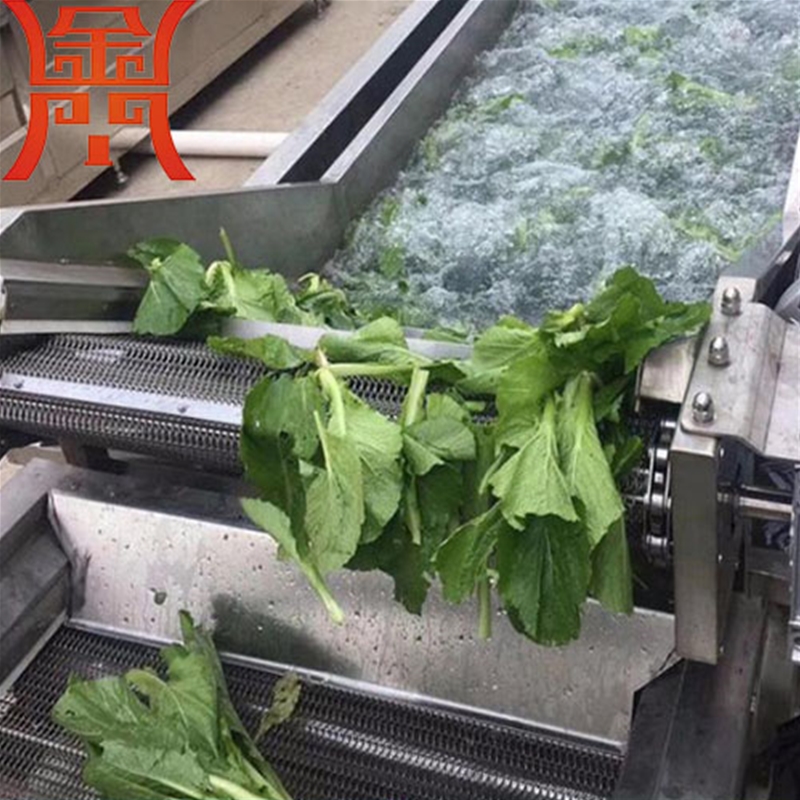 葉類蔬菜清洗加工流水線