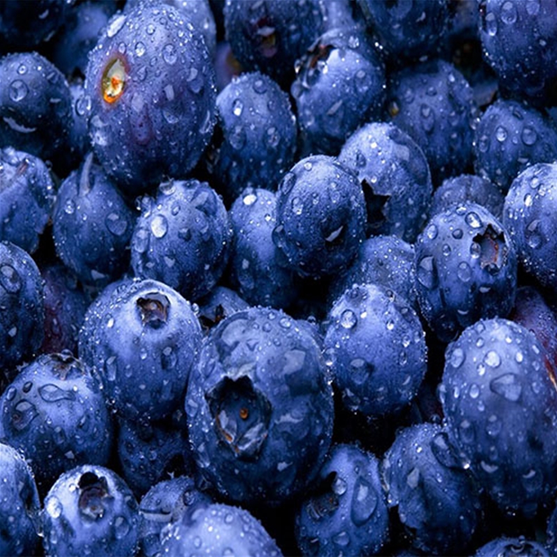 藍莓清洗機 氣泡清洗去果蔬農(nóng)殘效果好