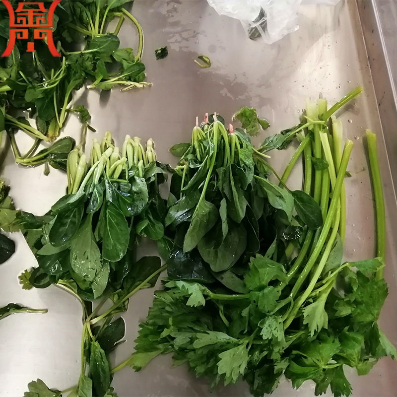 芹菜清洗機(jī) 葉莖類蔬菜清洗專用