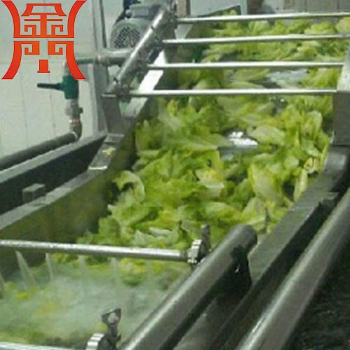 娃娃菜清洗機(jī) 氣泡清洗效果好
