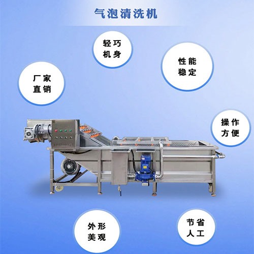 湖南田螺肉氣泡翻浪噴淋清洗機(jī)
