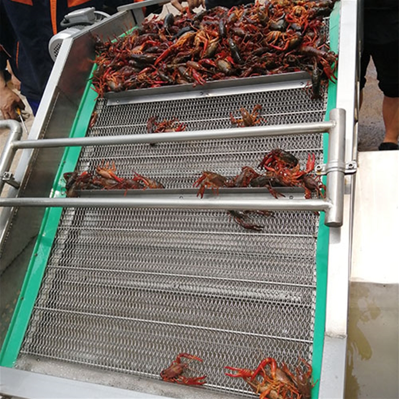 大連海鮮氣泡清洗機