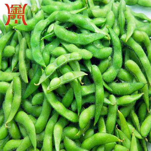 毛豆清洗分選機(jī)