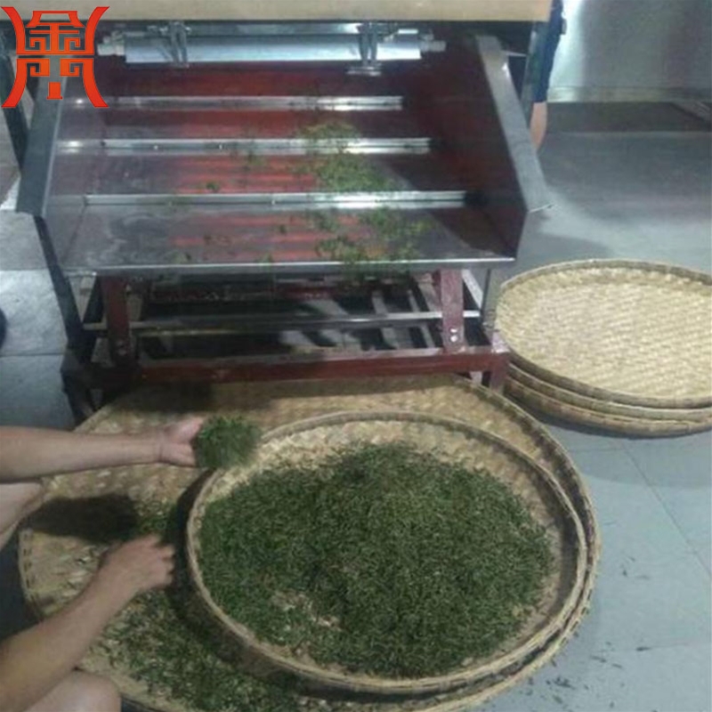 菠菜殺青機