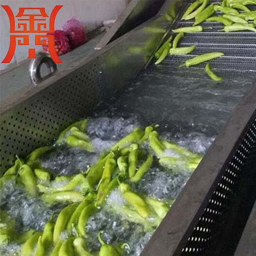辣椒清洗風(fēng)干流水線