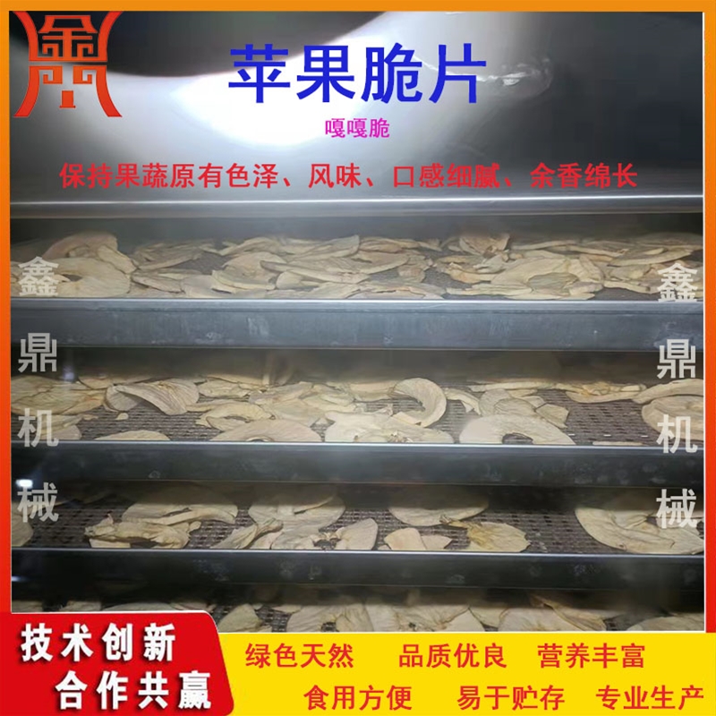 非油炸蘋果脆片加工機器值得信賴