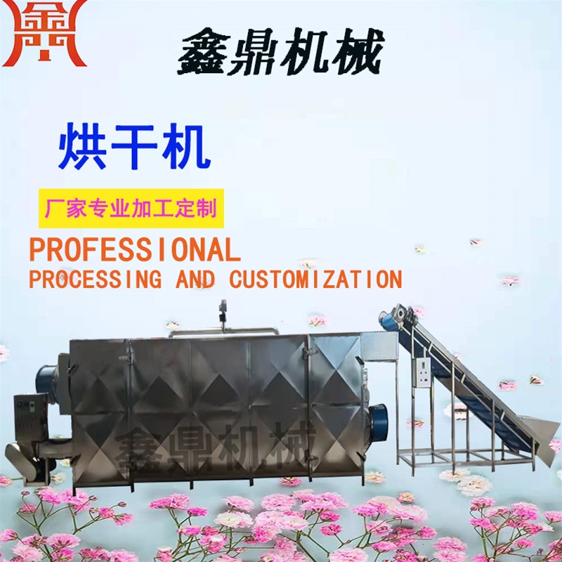 大型網(wǎng)帶食品烘干房源頭廠家
