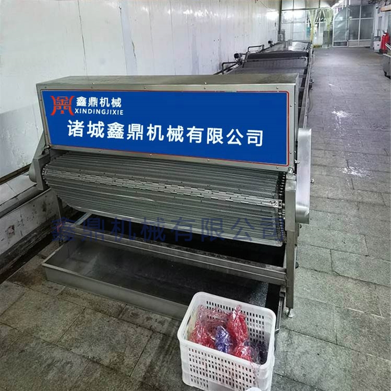 武漢鴨脖壓直流水線省去了人工穿釬壓制設(shè)備