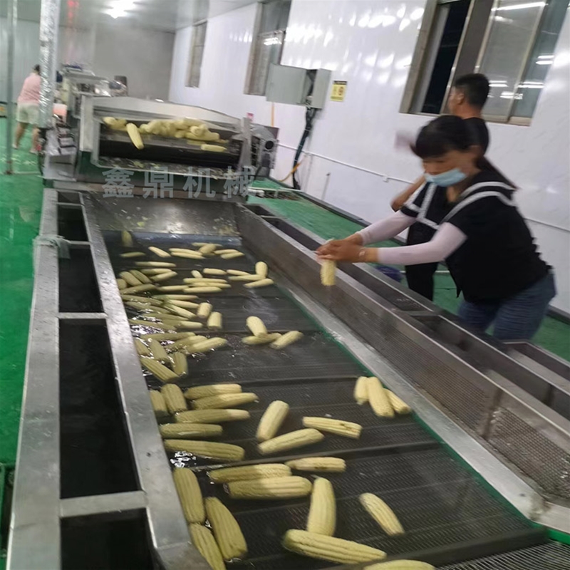 開(kāi)袋即食玉米加工線