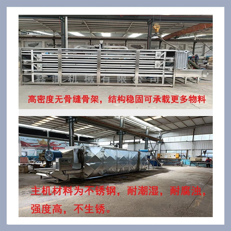 魷魚干大型網(wǎng)鏈干燥機
