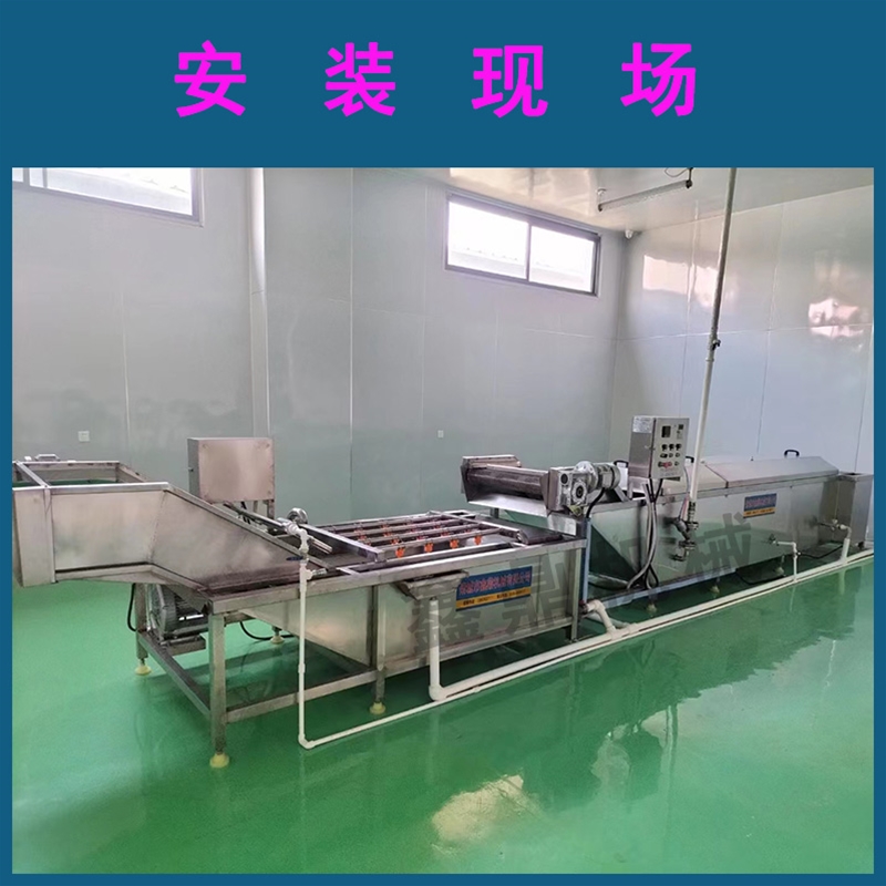 葉菜類凈菜加工全套設(shè)備