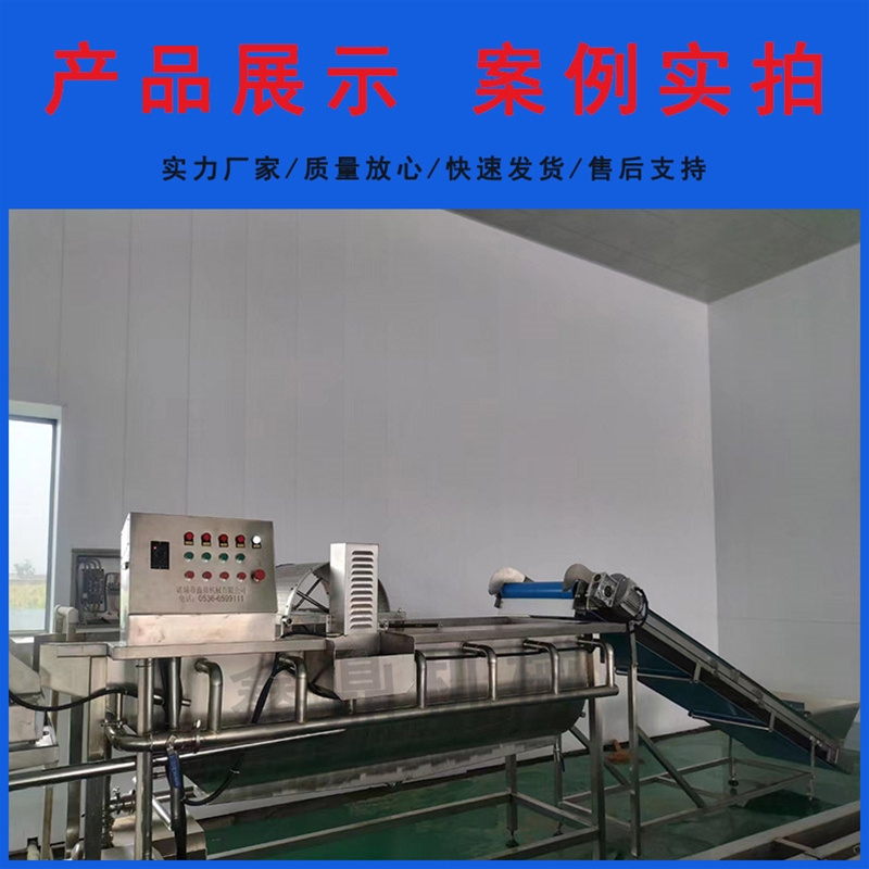 蔬菜丁漩渦式洗菜機瀝水機設備