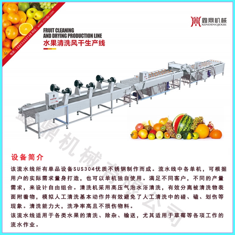 蔬菜水果凈菜旋流連續(xù)加工流水線設備