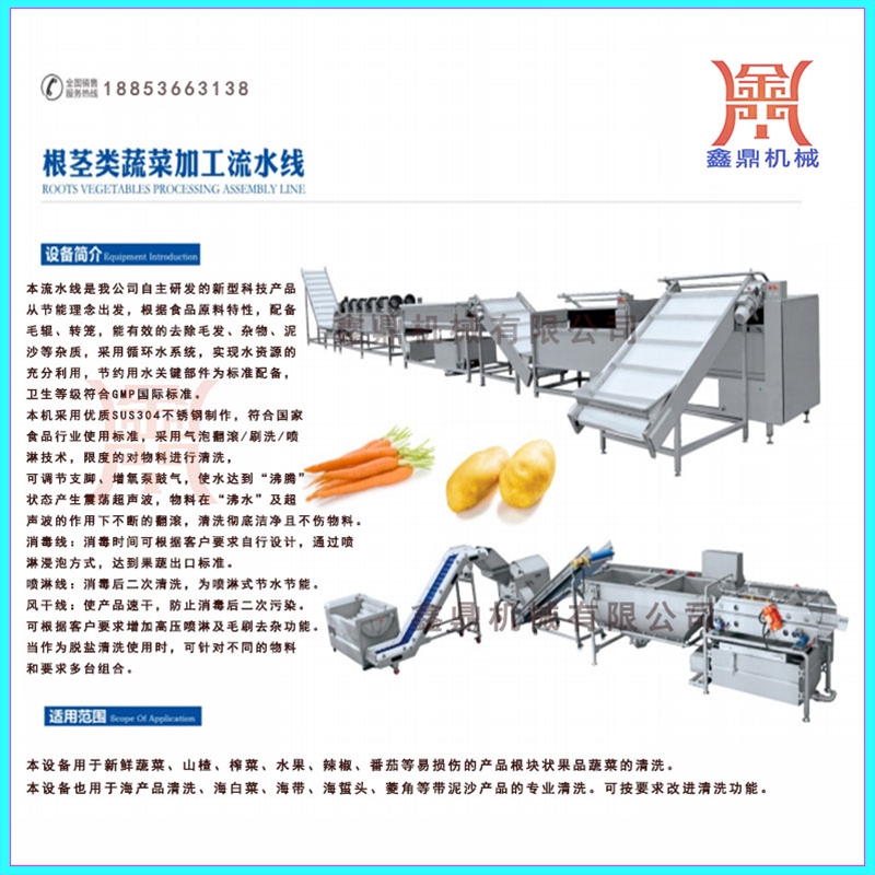 果蔬凈菜渦流清洗加工流水線加工定制