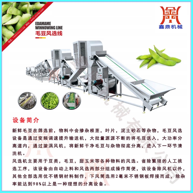 毛豆風(fēng)選清洗深加工設(shè)備生產(chǎn)廠家