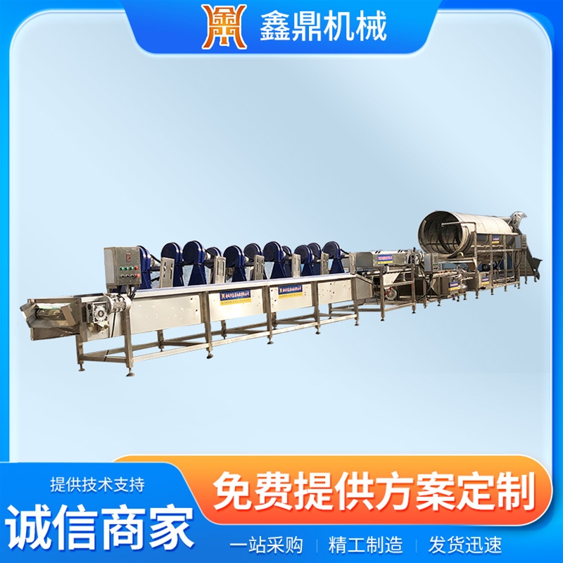 毛豆清洗風(fēng)干流水線