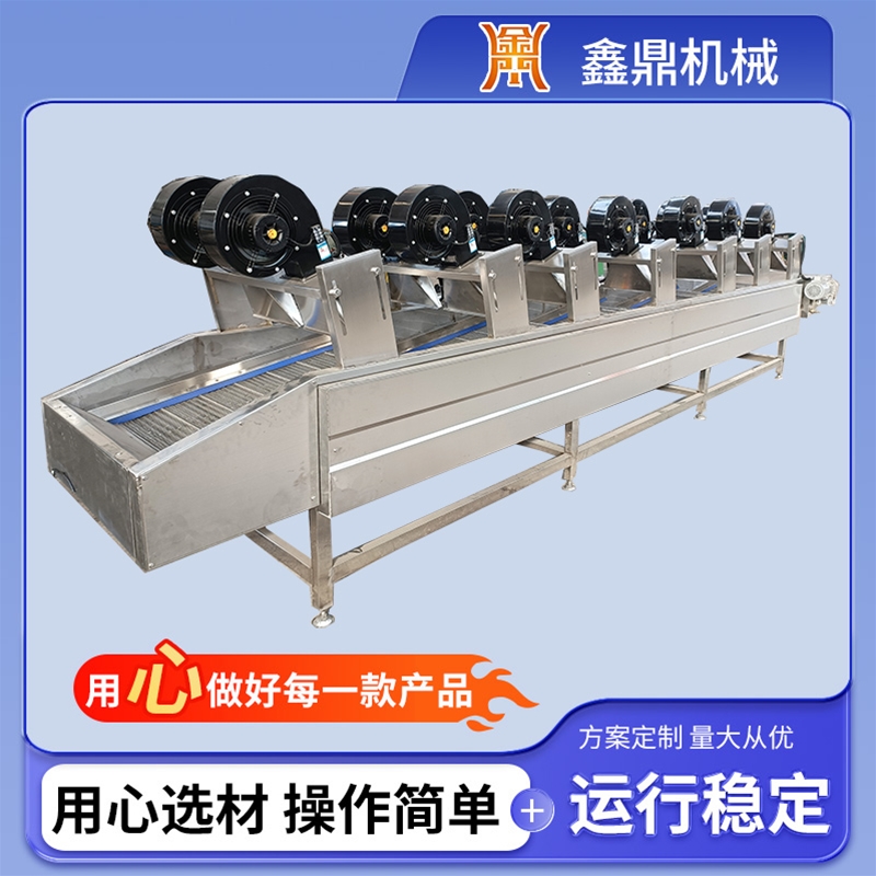 果蔬風(fēng)干流水線